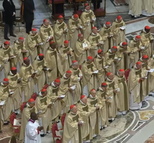 Papa Lav XIV. okuplja kardinale na izvanrednom konzistoriju 7. i 8. siječnja